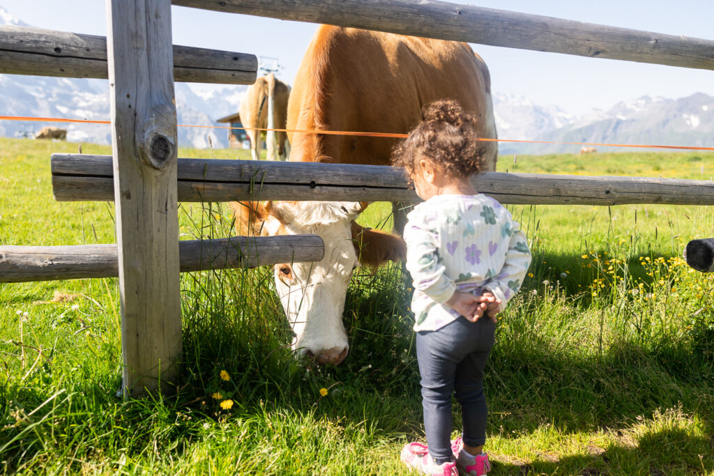 Our Family Vacation on Credit Card points to Wengen Switzerland - Our Long Life Blog